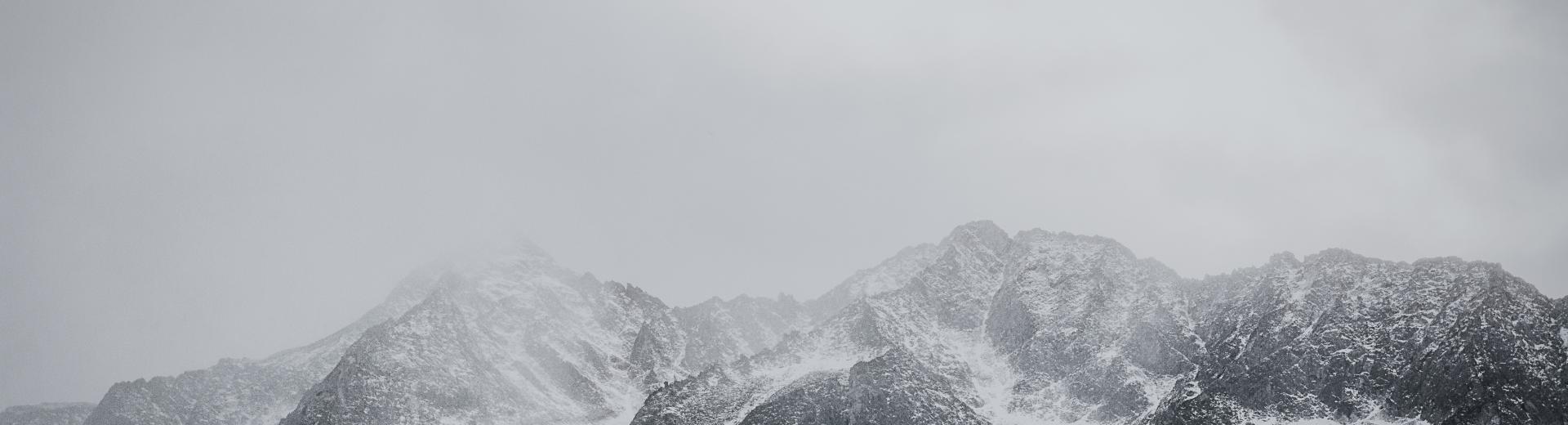 sas